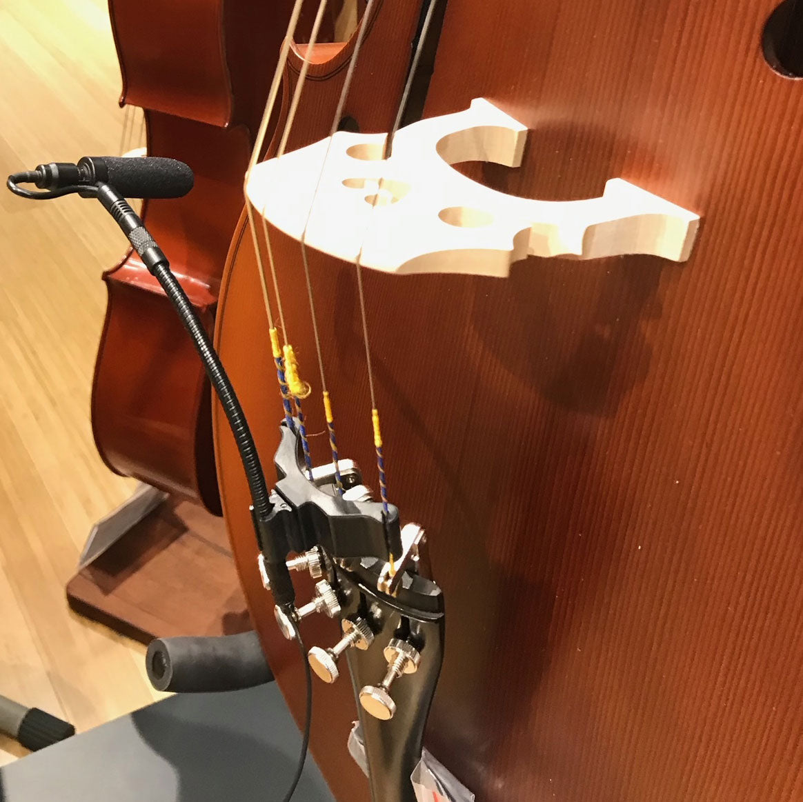 Cello instrument microphone from Acacia Audio with specialized mount and flexible gooseneck, designed for precise stereo recording on acoustic instruments.